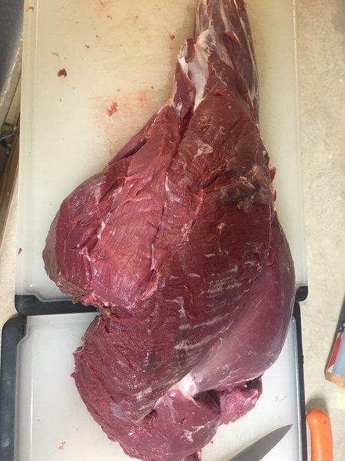 9684D39C-8674-4AB8-B40A-3E3DD1122F23.jpeg 9684D39C-8674-4AB8-B40A-3E3DD1122F23.jpeg