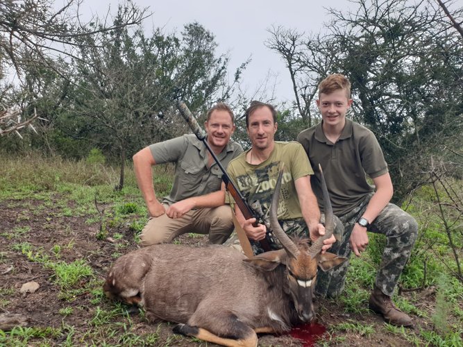 nyala.jpeg nyala.jpeg