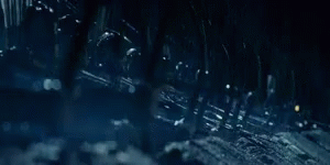 5AC8EF52-55E3-470A-81D6-1114F331106B.gif 5AC8EF52-55E3-470A-81D6-1114F331106B.gif