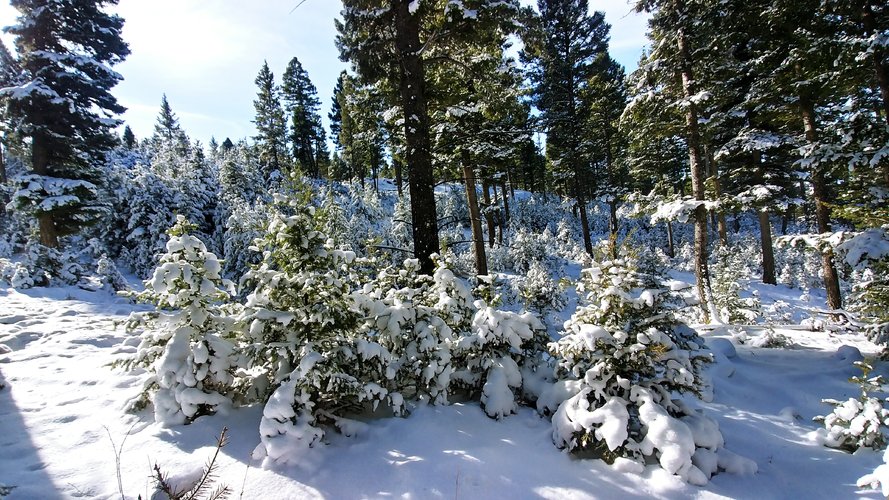 1112201117_HDR.jpg