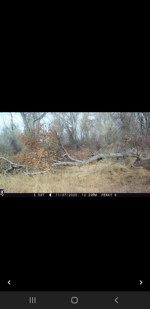 Screenshot_20201116-141426_File Viewer.jpg