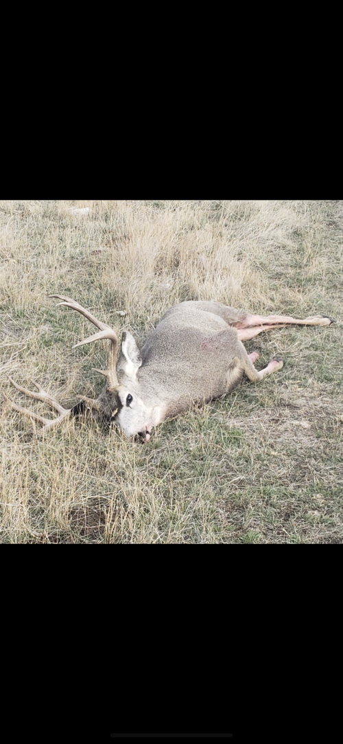 BA07AB71-61F3-4292-B44C-B67D65D10A6E.png BA07AB71-61F3-4292-B44C-B67D65D10A6E.png