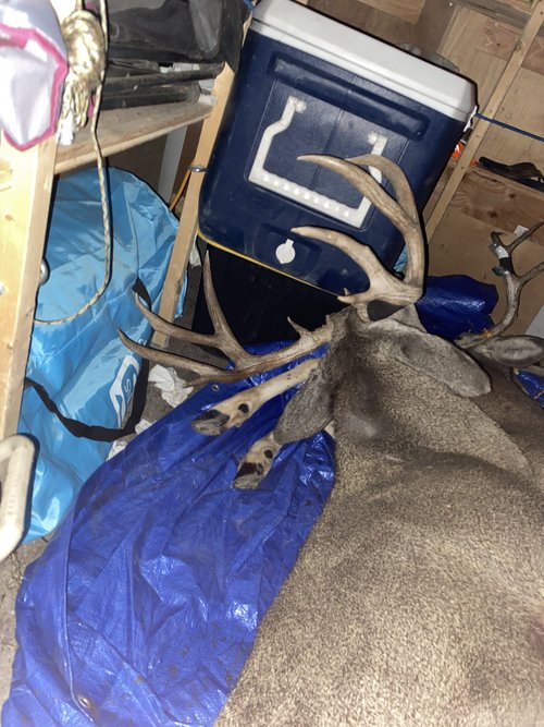 327DCD79-8345-4F83-8905-B95AE4EB8848.jpeg 327DCD79-8345-4F83-8905-B95AE4EB8848.jpeg