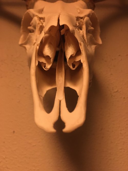image.jpg image.jpg