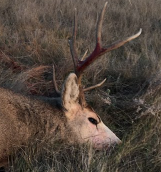 1605741540622.png 1605741540622.png