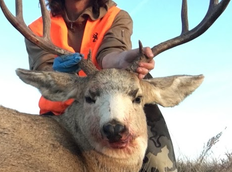 1605741577871.png 1605741577871.png