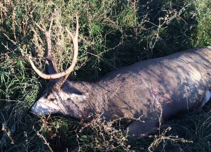 1605741725044.png 1605741725044.png