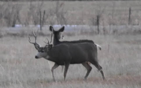 1605742015029.png 1605742015029.png