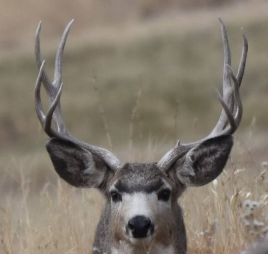 1605742038756.png 1605742038756.png