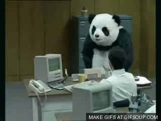 1605742591076.gif 1605742591076.gif