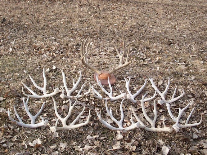 100_0122.JPG 100_0122.JPG