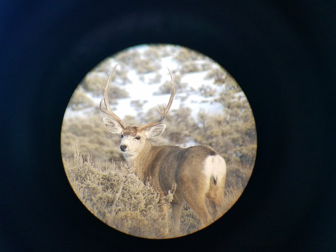 20171217_152216.jpg 20171217_152216.jpg