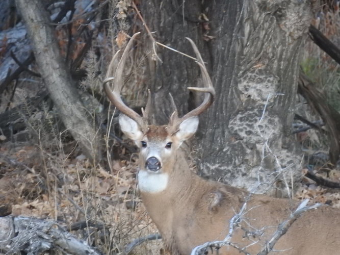 DSCN0748.JPG DSCN0748.JPG