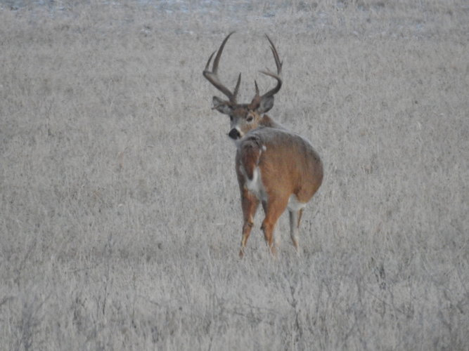 DSCN1619.JPG DSCN1619.JPG