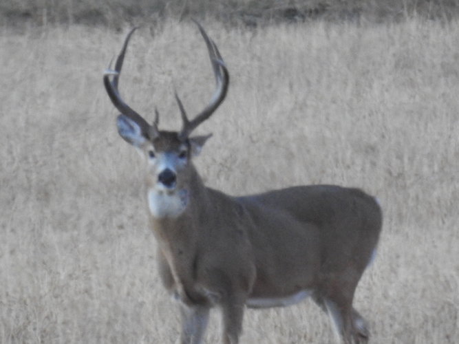 DSCN2348.JPG DSCN2348.JPG