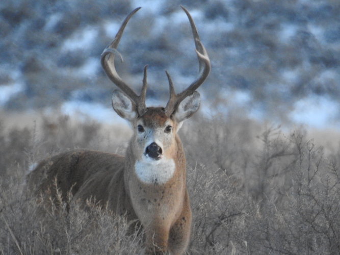 DSCN3029.JPG DSCN3029.JPG