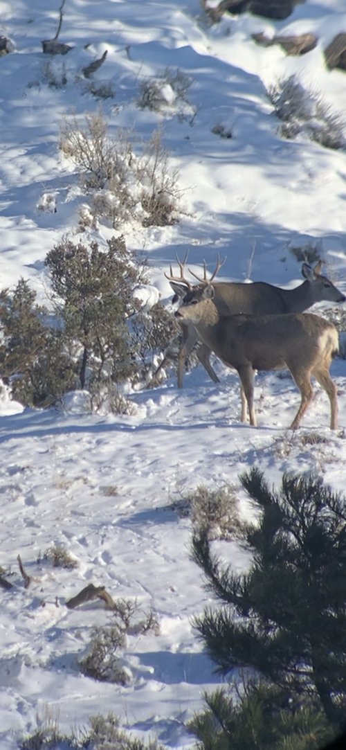 3E138494-5240-42B9-BF0C-109159474888.jpeg 3E138494-5240-42B9-BF0C-109159474888.jpeg