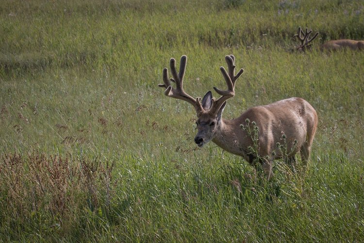 IMG_1926.jpg IMG_1926.jpg