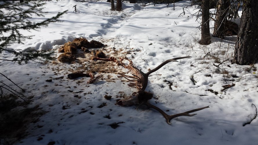 20190315_163432.jpg 20190315_163432.jpg