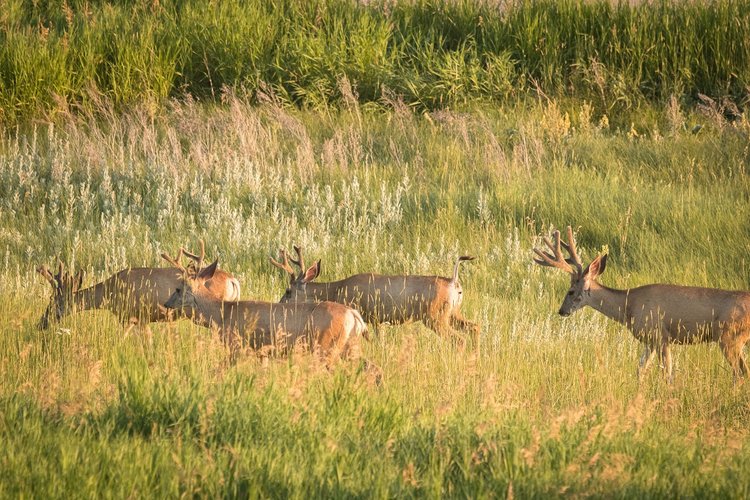 IMG_5765.jpg IMG_5765.jpg