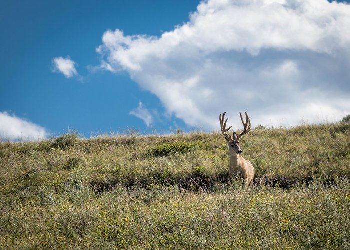 IMG_8493.jpg IMG_8493.jpg