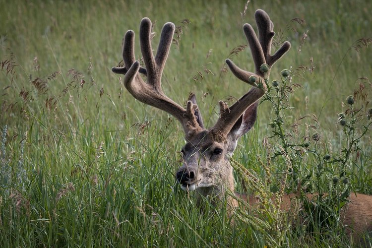 IMG_1968.jpg IMG_1968.jpg