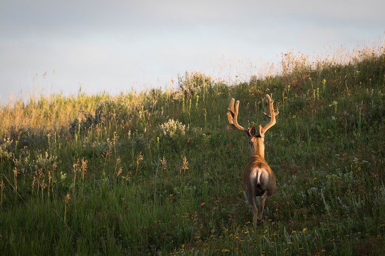 IMG_2104.jpg IMG_2104.jpg