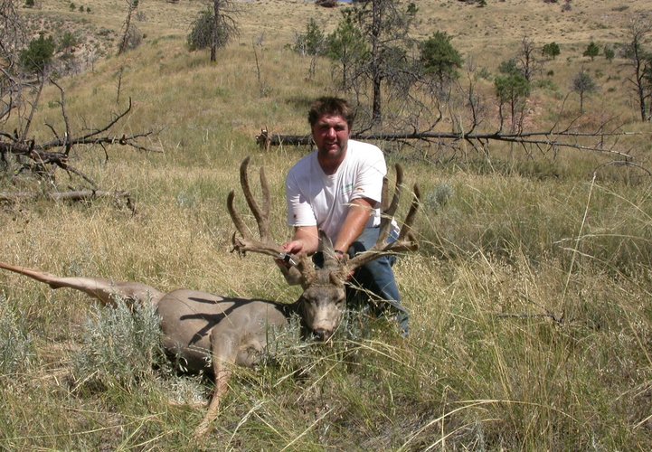 art's deer.jpg art's deer.jpg