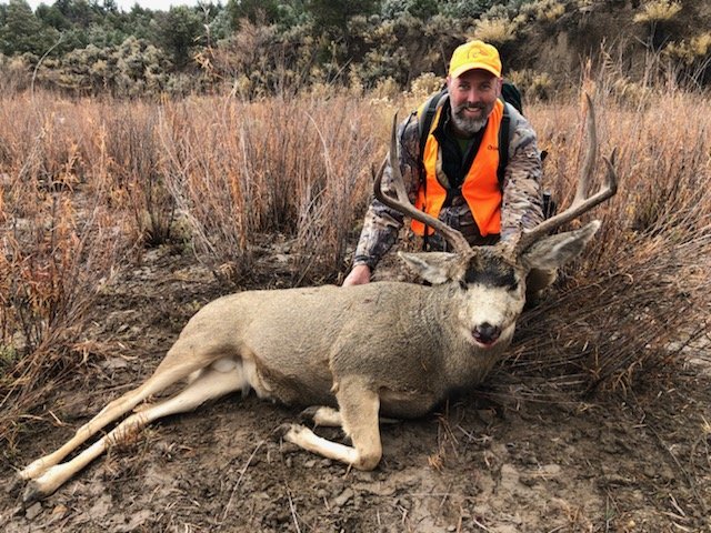 25809.jpeg 25809.jpeg