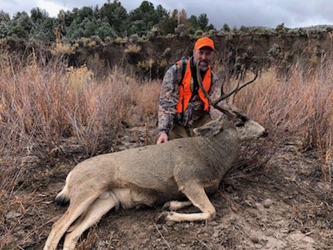 25808.jpeg 25808.jpeg