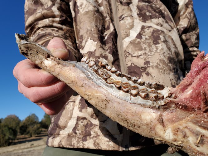 20201112_084302.jpg 20201112_084302.jpg