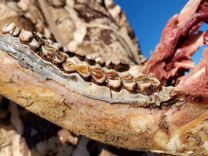 20201112_084333.jpg 20201112_084333.jpg