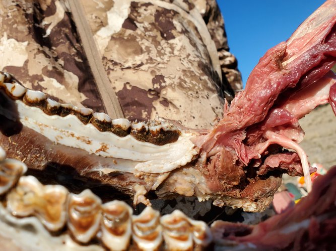 20201112_084337.jpg 20201112_084337.jpg