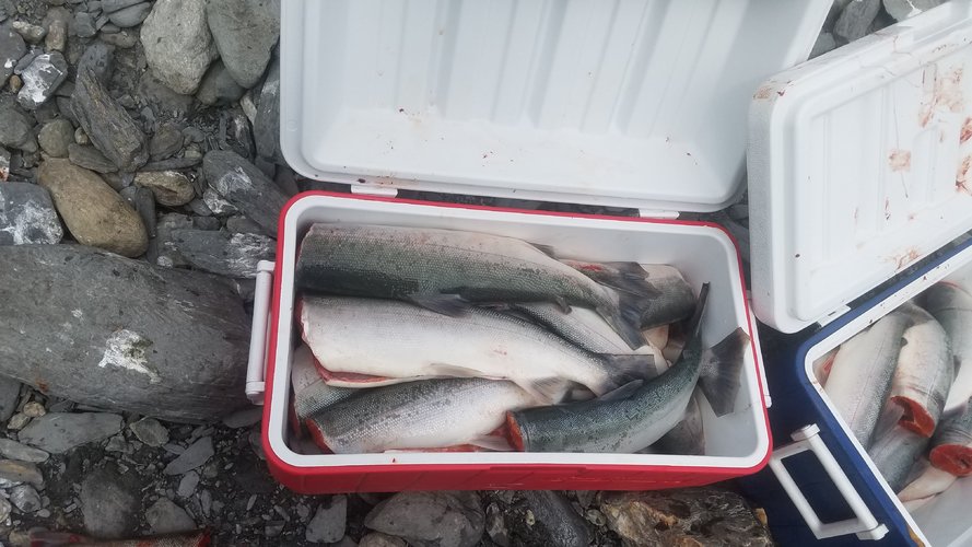 20200626_143725 (1).jpg