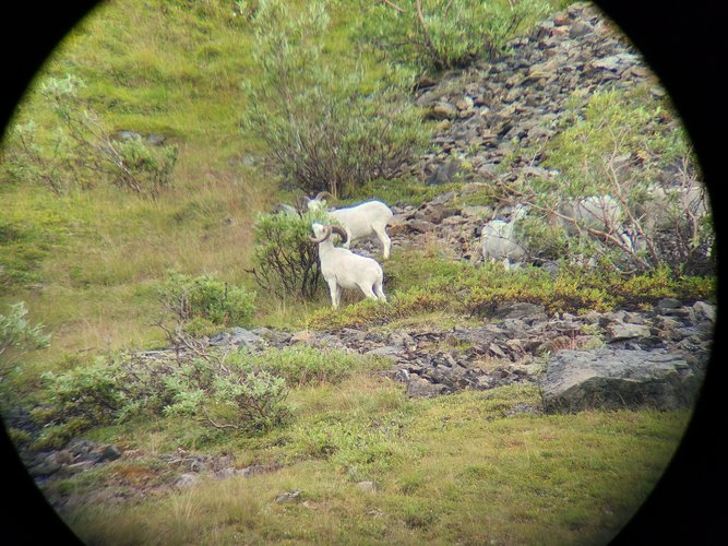 20200809_123856 (1).jpg