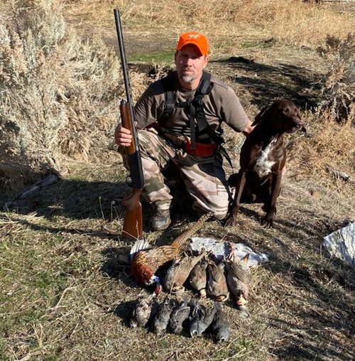 pheasant.jpg