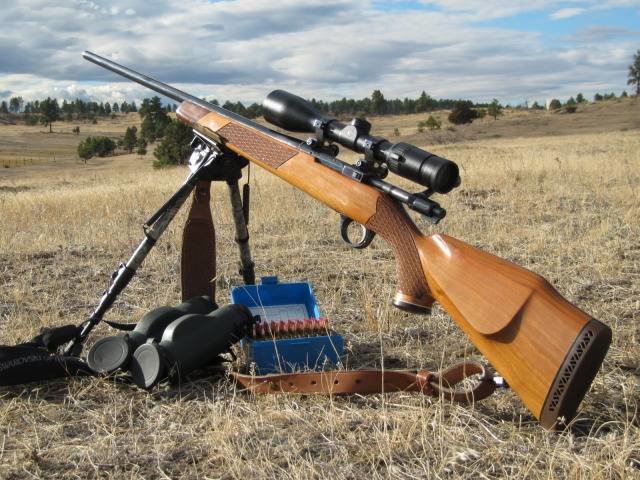 122_3175.jpg 122_3175.jpg
