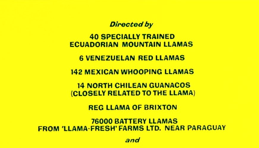 llamas.jpg