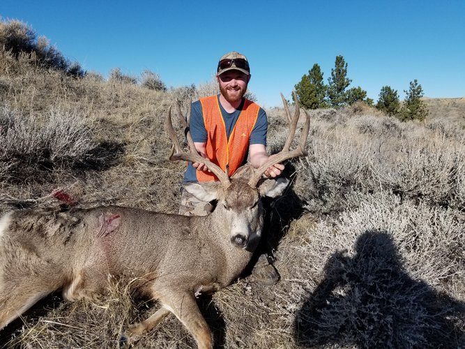 2020 luke mule deer.jpg