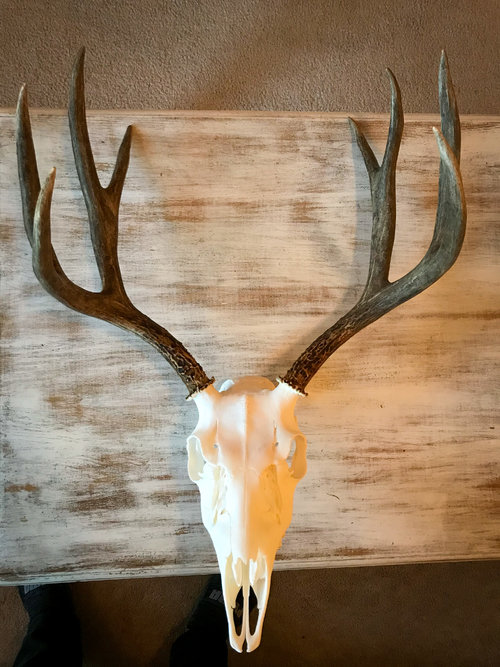 IMG-7013.JPG IMG-7013.JPG