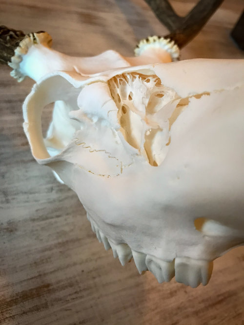 IMG-7016.JPG IMG-7016.JPG