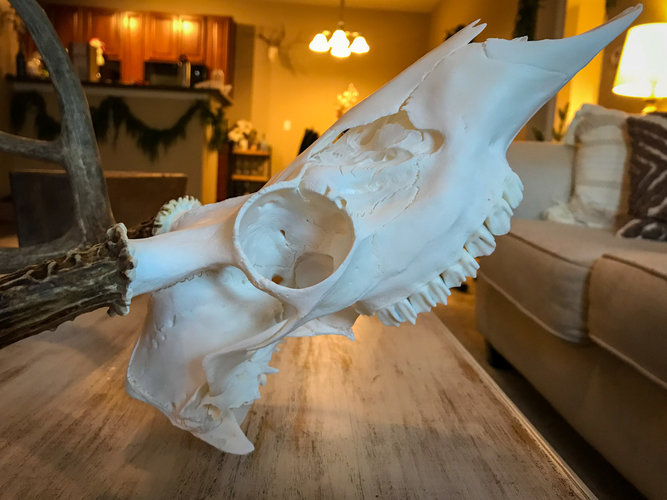 IMG-7018.JPG IMG-7018.JPG