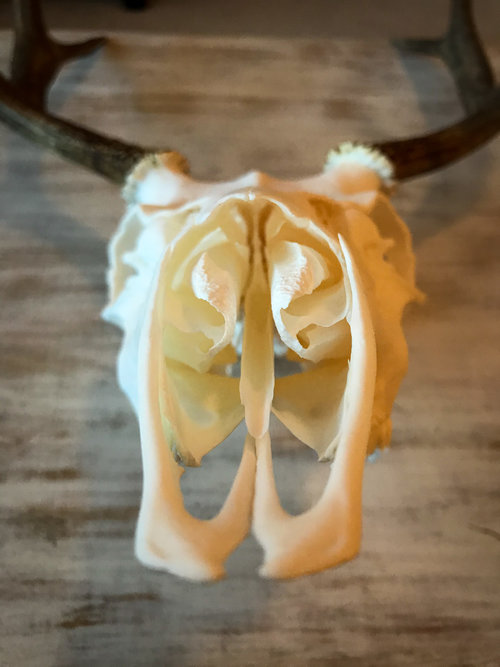 IMG-7014.JPG IMG-7014.JPG