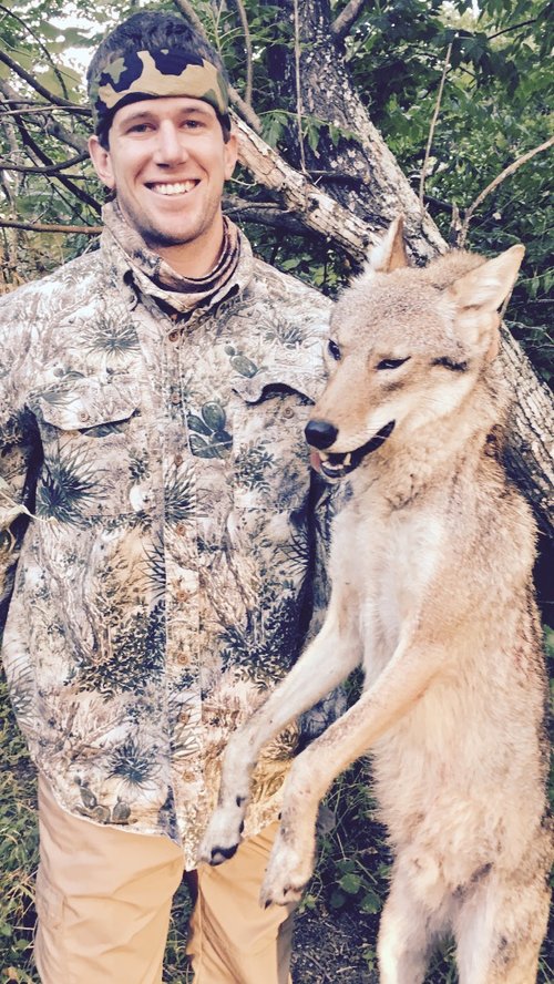 Easter Coyote 1_2017.jpg Easter Coyote 1_2017.jpg