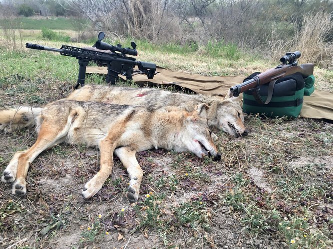 Jacob and Porter - March Coyotes.jpg Jacob and Porter - March Coyotes.jpg