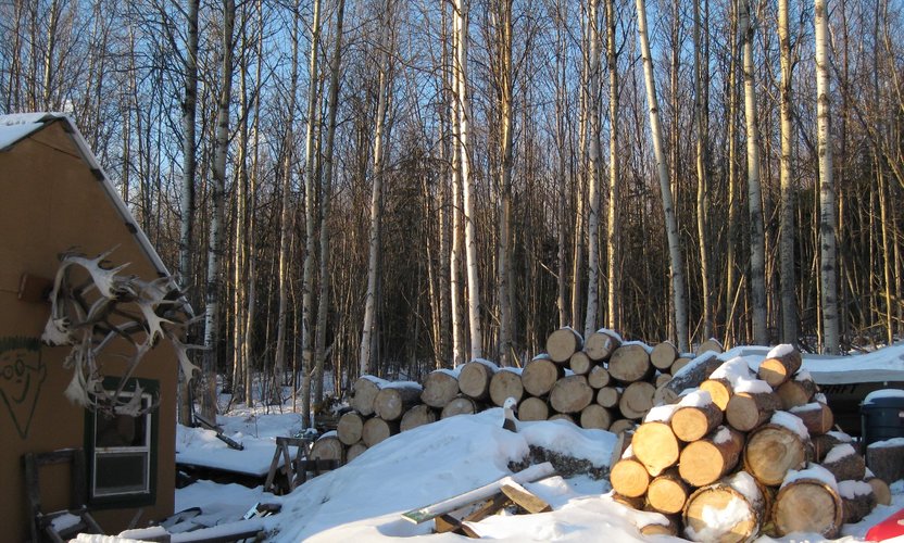 Firewood.jpg Firewood.jpg
