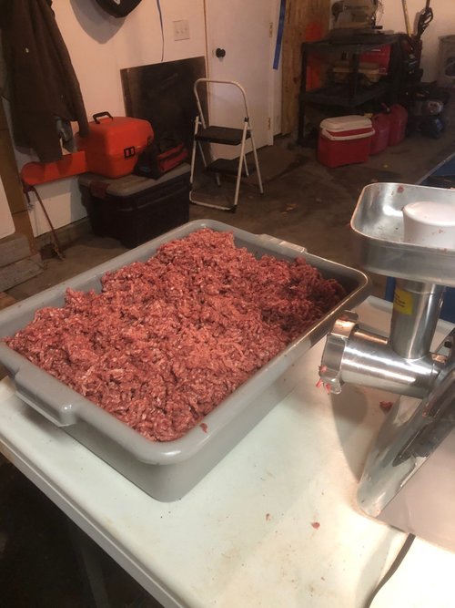 sausage buck.jpg sausage buck.jpg