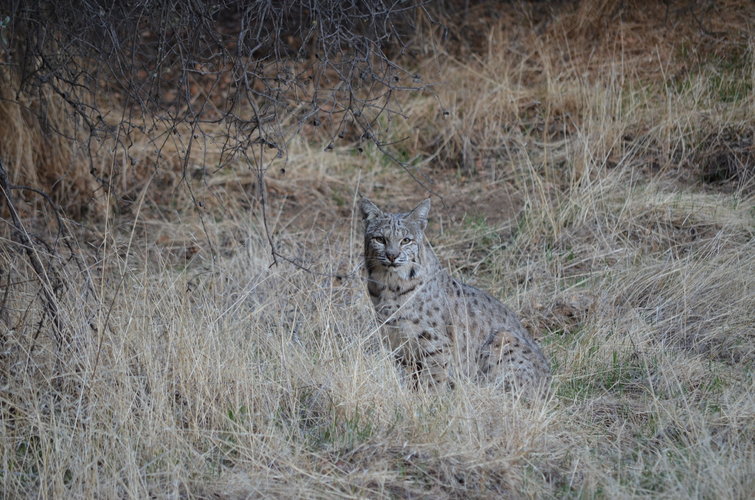 DSC_7068.JPG DSC_7068.JPG
