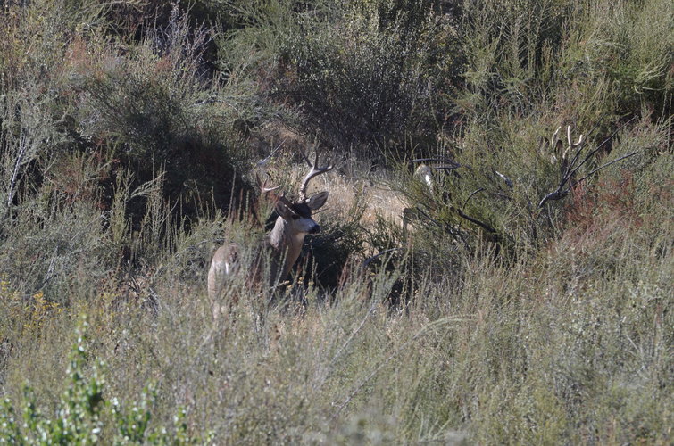 DSC_7150.JPG DSC_7150.JPG