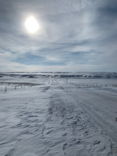 cold view.jpg cold view.jpg